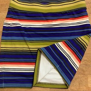 Multi Color Striped Skirt